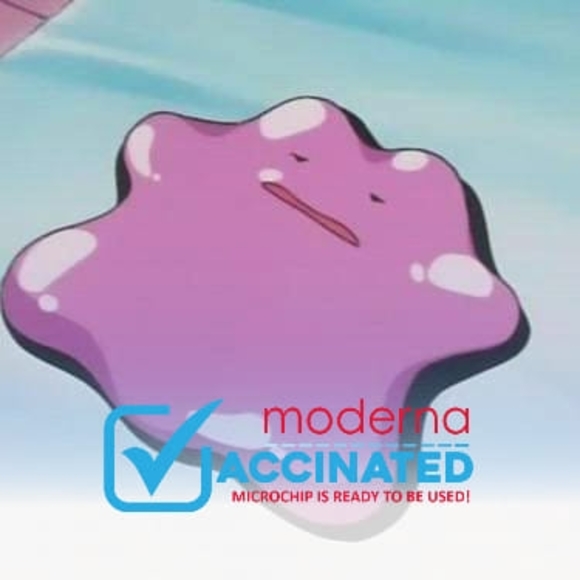 Meet your Posher, Bug - Picture 1 of 1